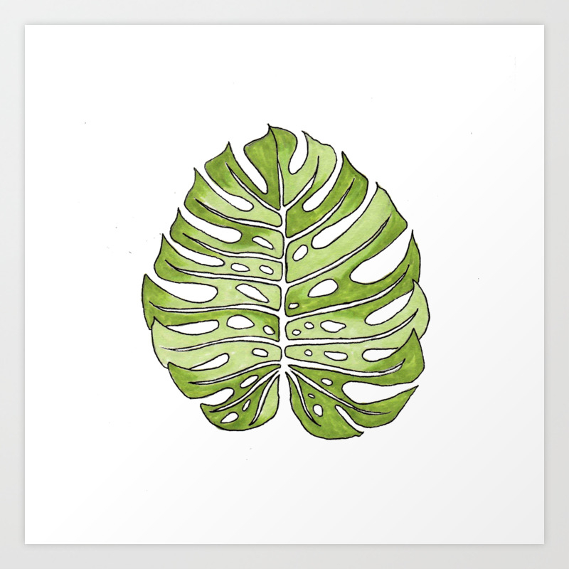 How To Draw A Monstera Leaf Easy