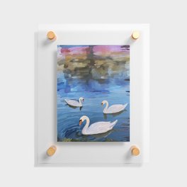 Swans on the lake Floating Acrylic Print