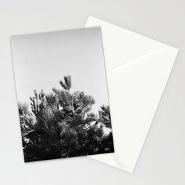 Black&White Pine tree on a sunny day | 35mm film photography | Kodak, Pentax | Fine art nature photography Stationery Card