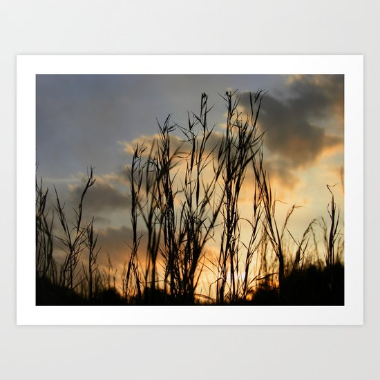 Last Light Art Print