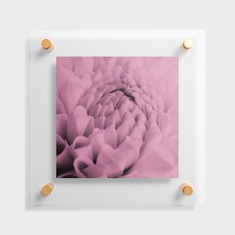 Soft Pink Dahlia Macro Floating Acrylic Print