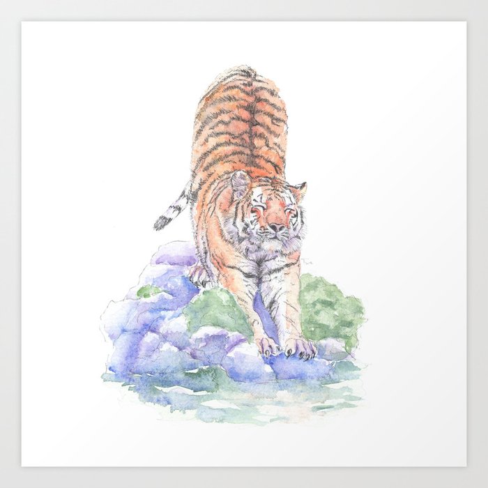 Tiger Oasis Art Print