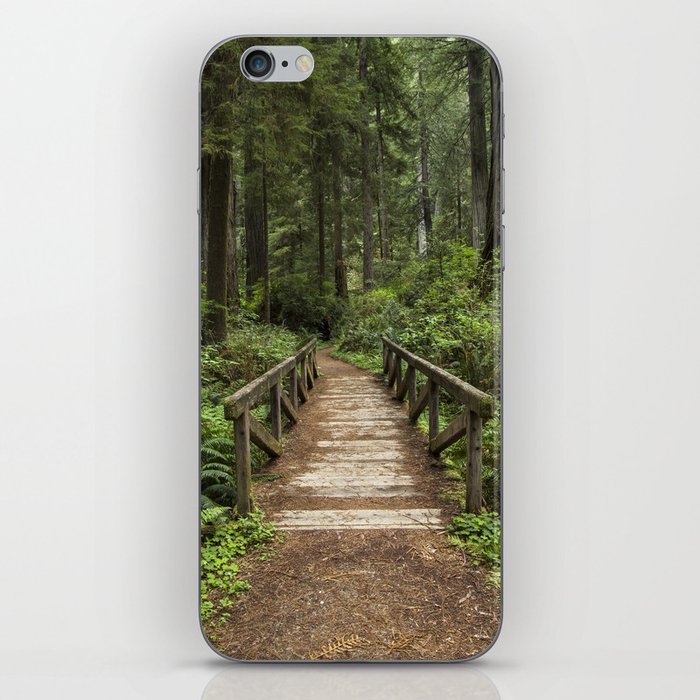 Walk Through Prairie Creek Redwoods State Park iPhone Skin