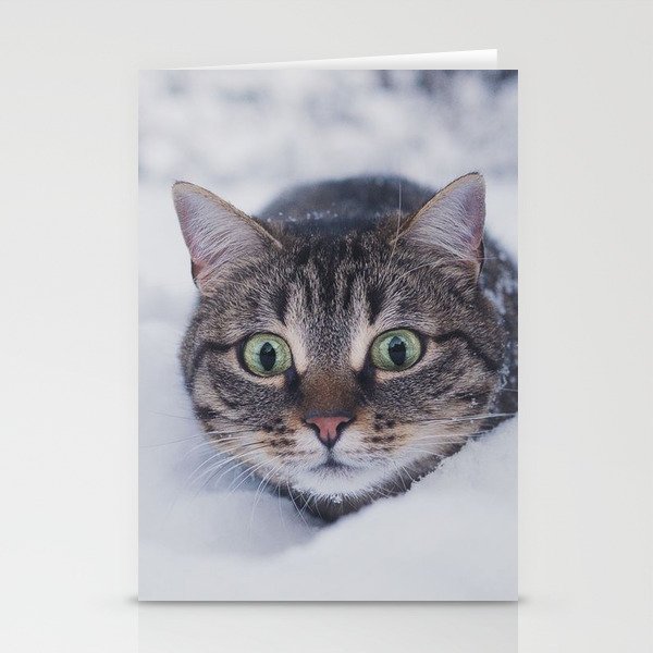 cat pet funny glance snow winter Stationery Cards