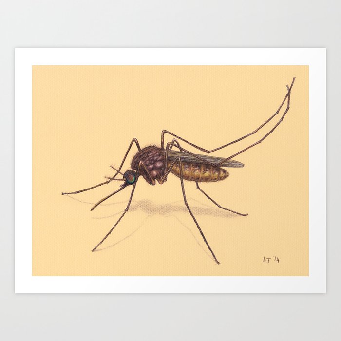 Mosquito by Lars Furtwaengler | Colored Pencil / Pastel Pencil | 2014 Art Print