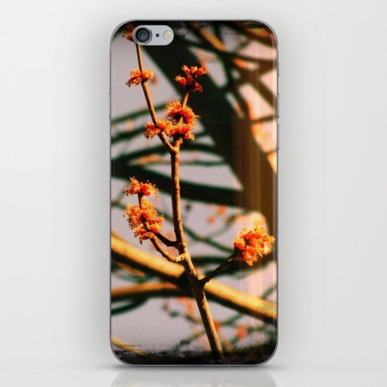 Spring iPhone & iPod Skin