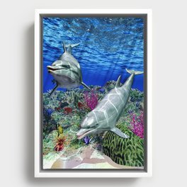Dolphins Framed Canvas