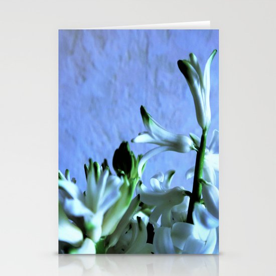 white hyacinthe on light blue background Stationery Cards