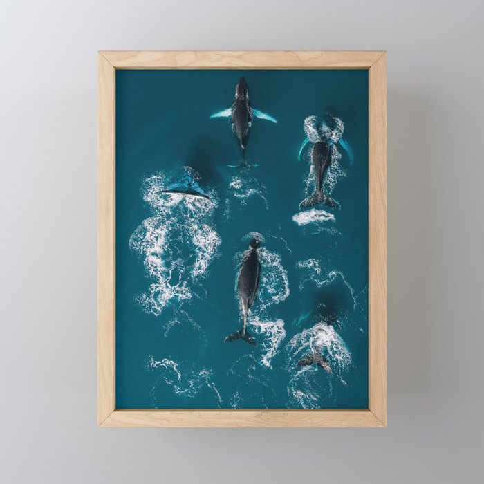 Framed Mini Art Print