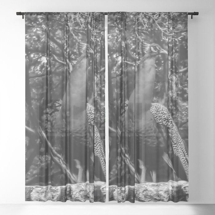 Majestic - Black and White - Graphic 1 Sheer Curtain