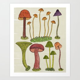 Mushrooms  Art Print