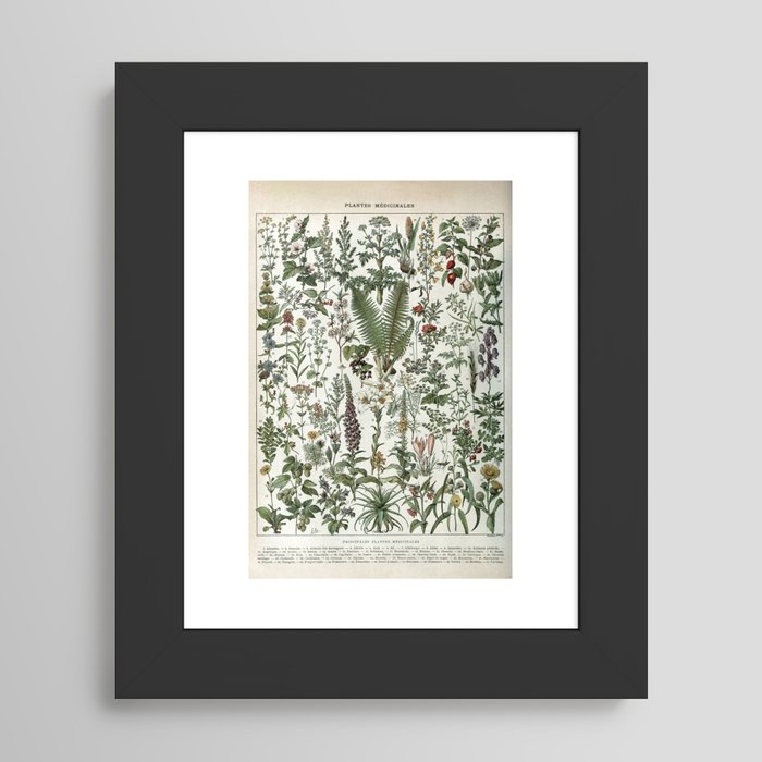 Framed Art Print