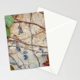 Wall Grapes Stationery Card