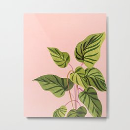 Upstart Pink and Green Houseplant Metal Print | Pink, Botanical, Greenery, Painting, Green, House Plant, Monstera, Exotic, Design, Plant 