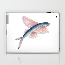 Flying Fish Laptop & iPad Skin