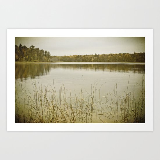 Summer Promises Art Print