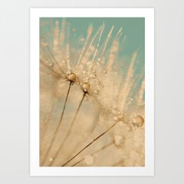 Elegant Gold Dandelion- Floral Flower photography by Ingrid Beddoes  Art Print | Abstract, Dandelion, Gold, Wall Decor, Photo, Goldflowerprint, Dandelionflowerart, Water, Raindrops, Ingrid Beddoes 