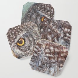 Eurasian Pygmy Owl Coaster