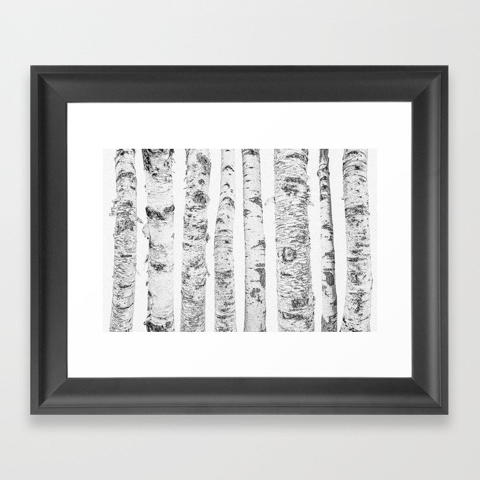 Birch Trees | Forest Landscape Photography Minimalism Framed Art Print