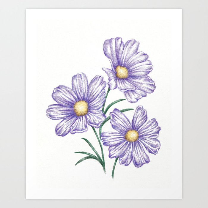 Purple Flower Garden Art Drawing Print Daisy Art Print By Josiemaedesign Society6