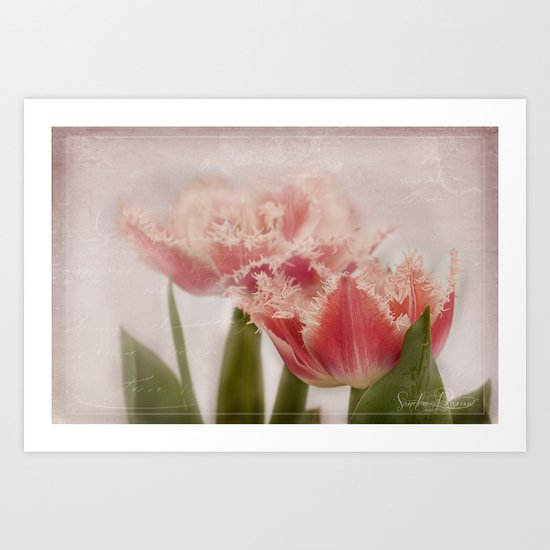 Dolcemente Art Print