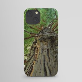 Up (Photograph of Tall Tree)  iPhone Case