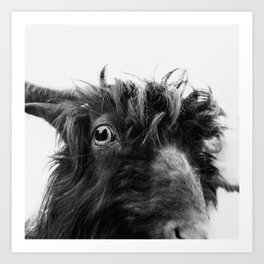 charlie the goat Art Print