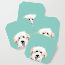 Golden Doodle pet portrait art print and dog gifts Coaster