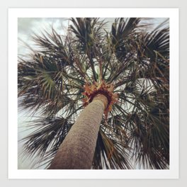 Palm Tree Before The Storm Art Print