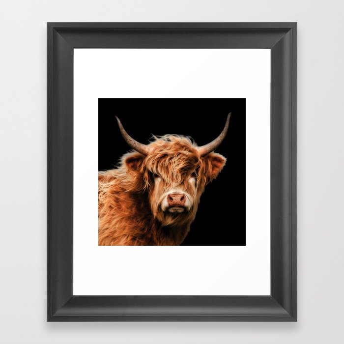 Highland Cow Framed Art Print