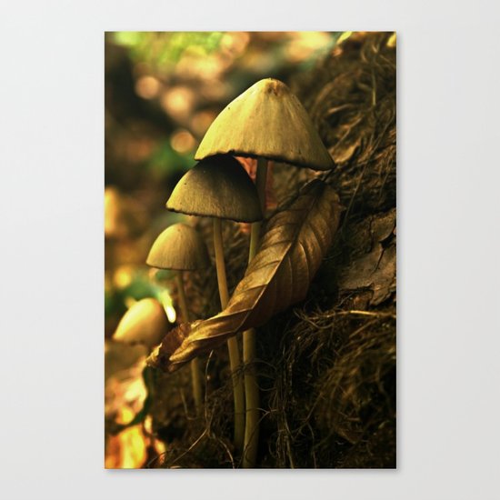 Magic mushroom family Canvas Print