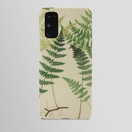 Botanical Ferns Android Case