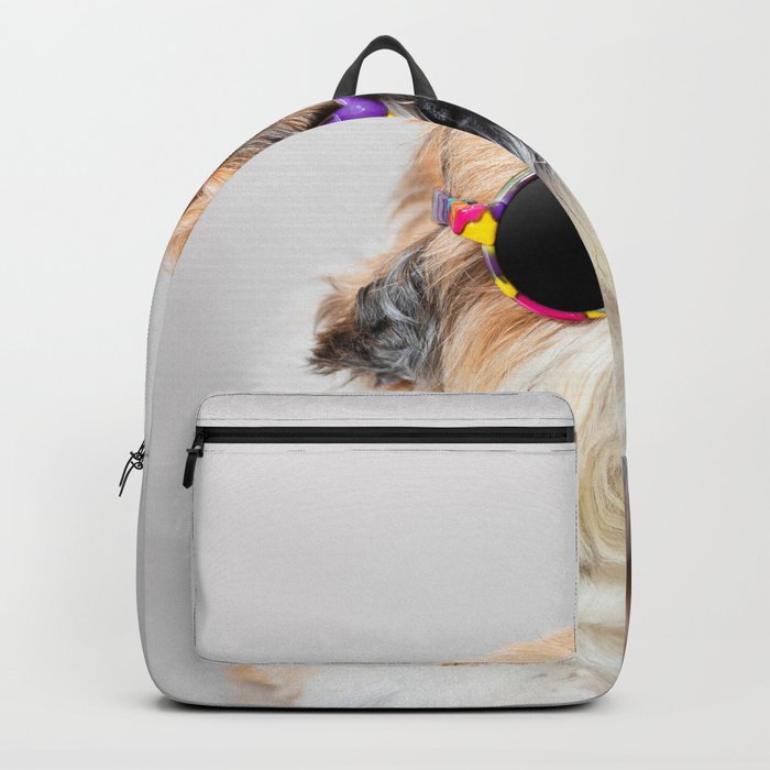 Cool Shih Tzu dog with sunglasses Backpack