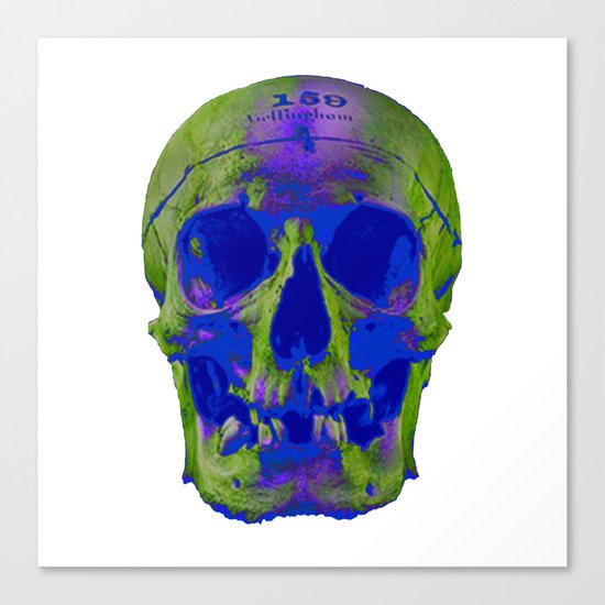 Skull Canvas Print