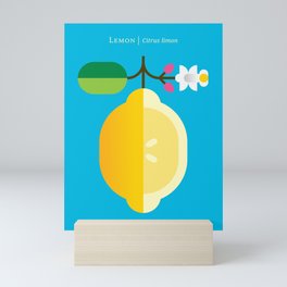 Fruit: Lemon Mini Art Print