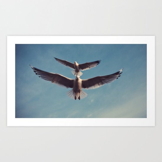 Gulls {Eight} Art Print