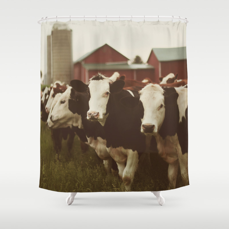 cow shower curtain