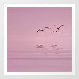 Pink Ocean Sea Birds Art Print