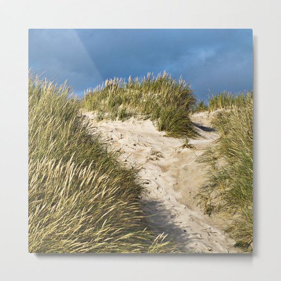 Scandinavian Sand Dune of Henne in Denmark Metal Print