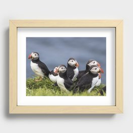 puffin Recessed Framed Print