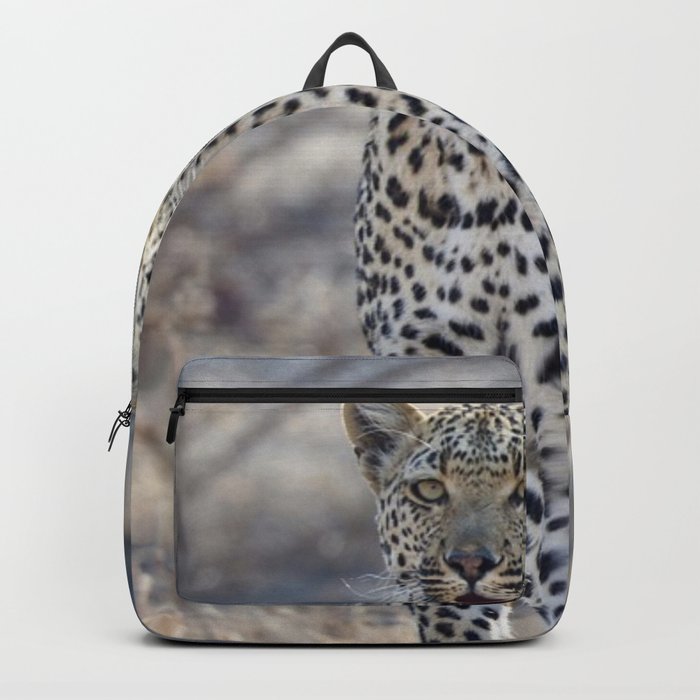 South Africa Photography - White Leopard In The Winter Weather Backpack