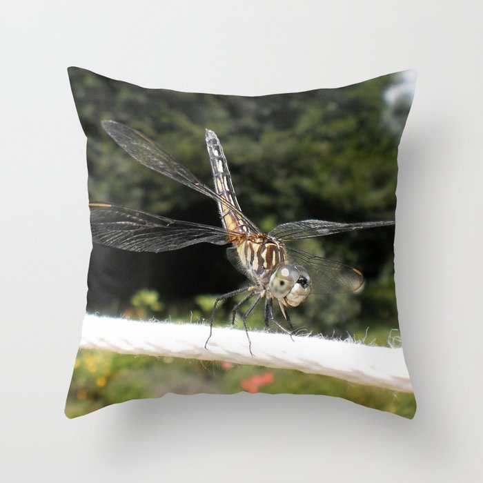 Walking The Line Throw Pillow