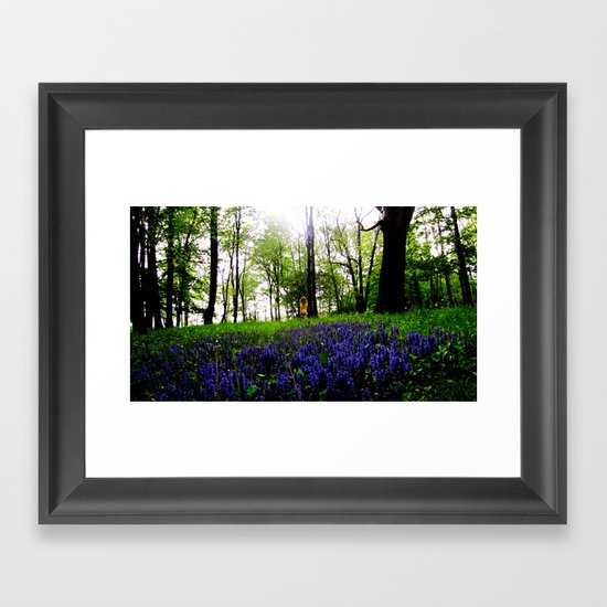 Spring Meadow Framed Art Print