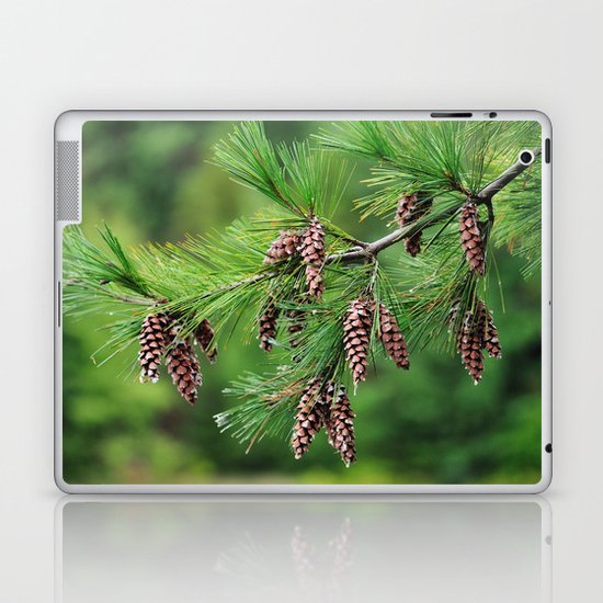 Pine cones Laptop & iPad Skin