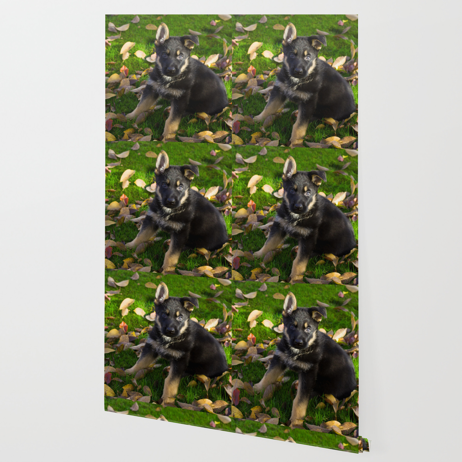 Little German Shepherd Puppy Wallpaper By Tanjariedel Society6
