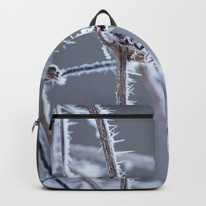 frozen Backpack