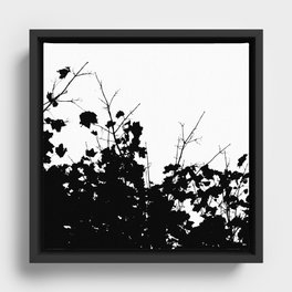 Branches 3 Framed Canvas