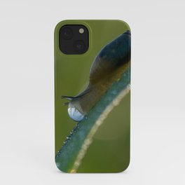 Little snail on light adventure - 03 -Unique reflection iPhone Case