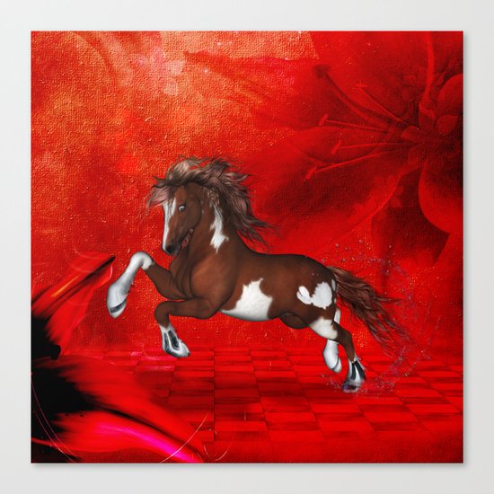 Beautiful wild horse Canvas Print