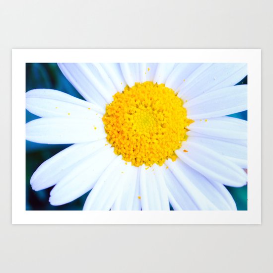 SMILE - Daisy Flower #2 Art Print